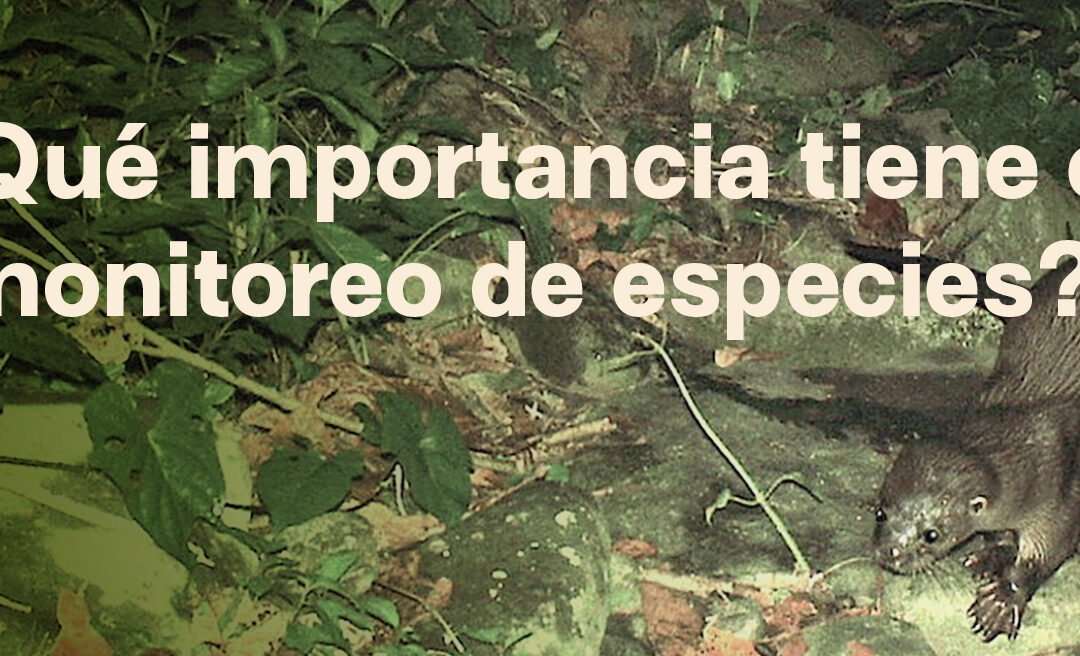 Monitoreo de Especies