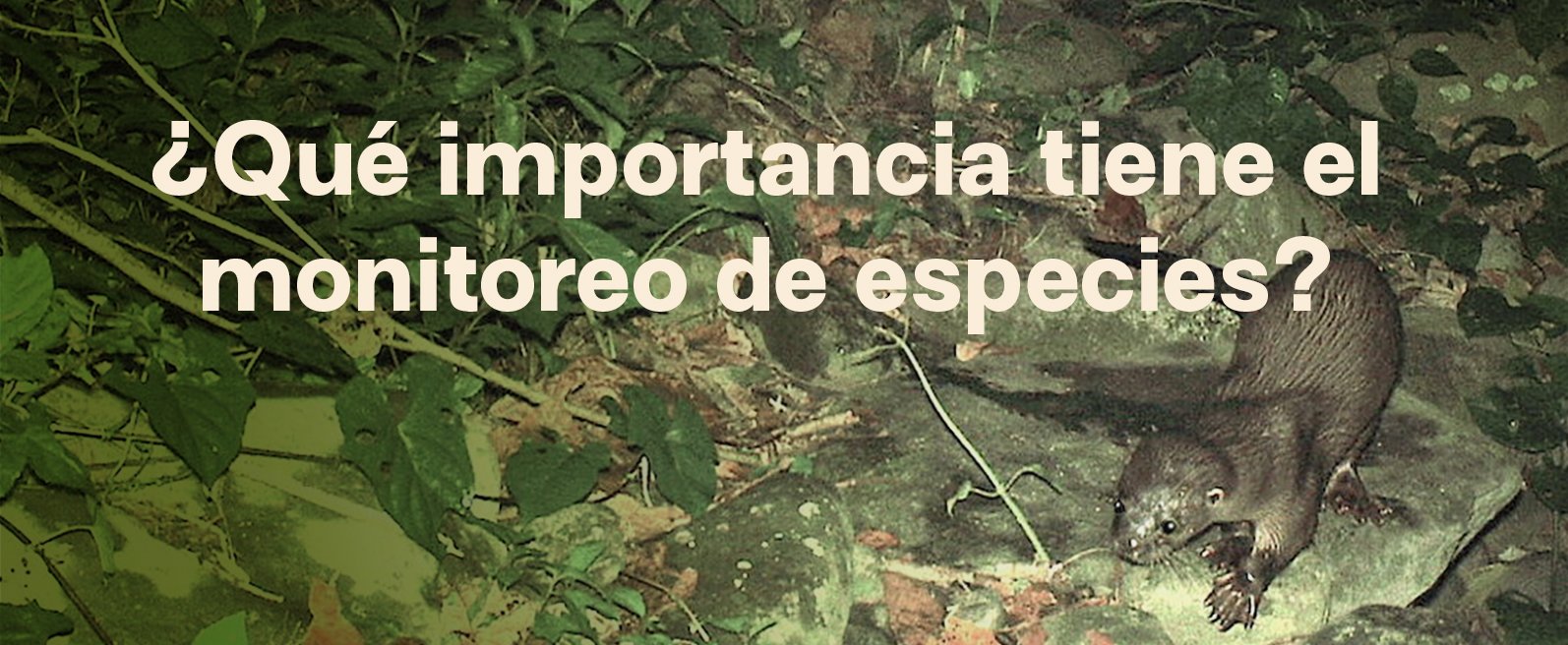 Monitoreo de Especies