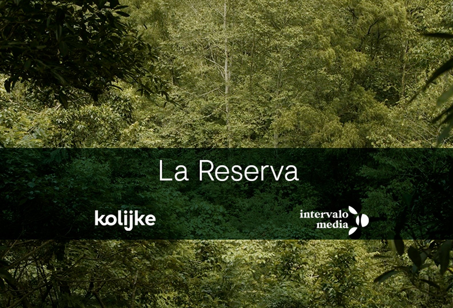 Seguimos cuidando la vida en todas sus formas