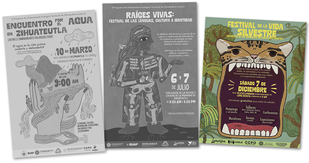 Festival de la vida silvestre