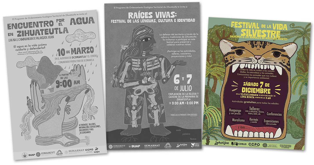 Festival de la vida silvestre