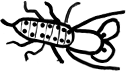 sembrador_izq