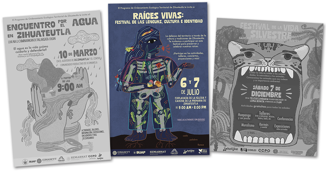 Festival de las lenguas, cultura e identidad: Raíces vivas